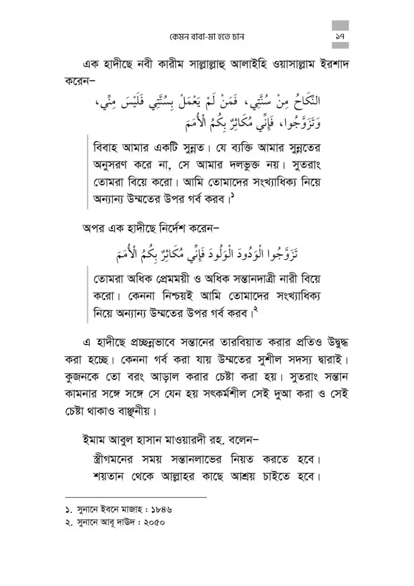 নমুনা পাতা 17